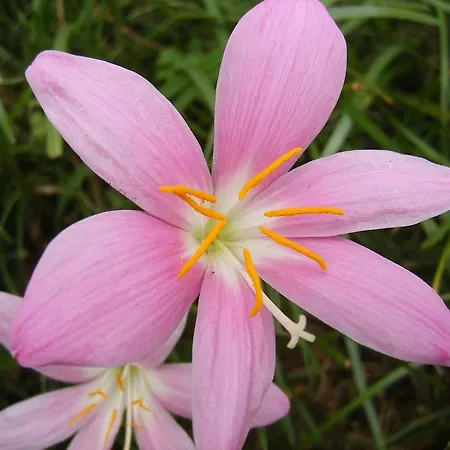 Дом отдыха Kerry-lee Homes